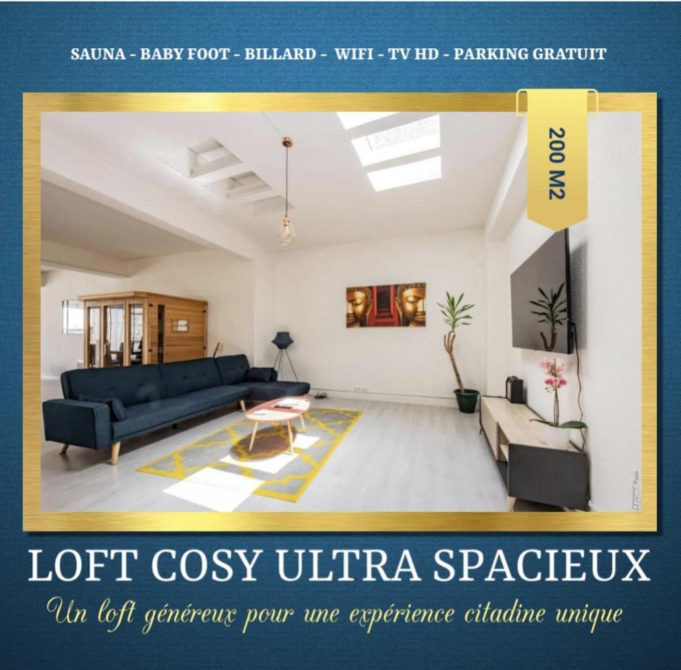 Loft Cosy - Hypercentre - Sauna - 200M2 - Wifi Graulhet Екстер'єр фото